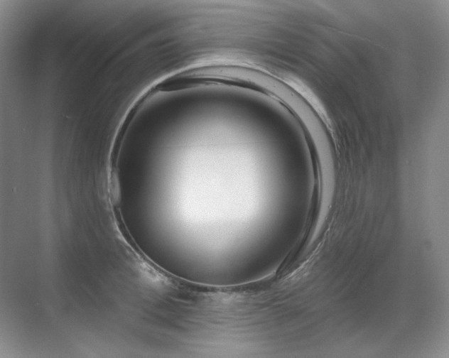 X0000071820996200606301248