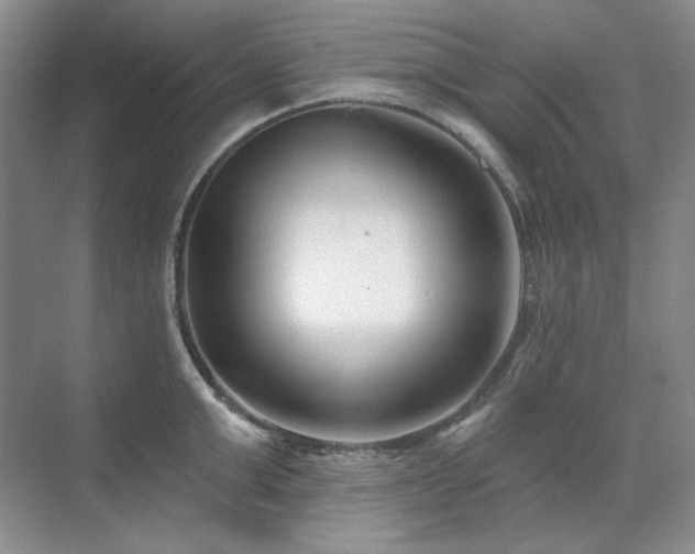 X0000071820999200606301248