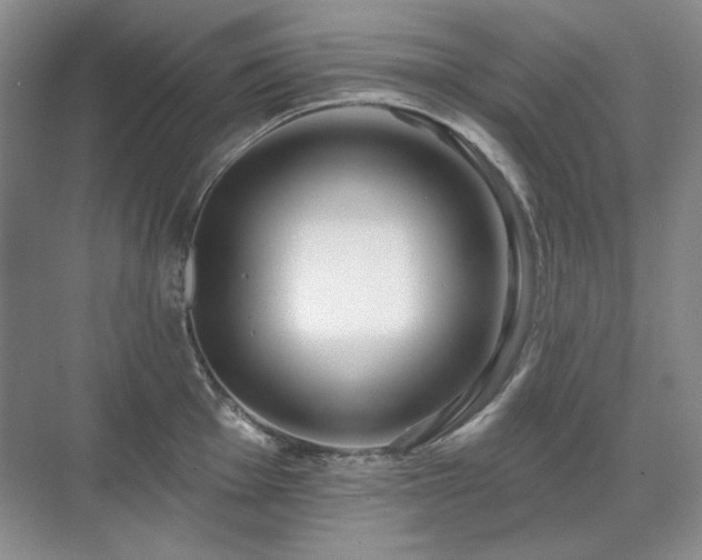 X0000071821001200606301248