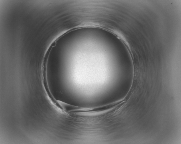 X0000071821003200606301248