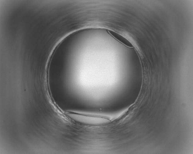 X0000071821004200606301248