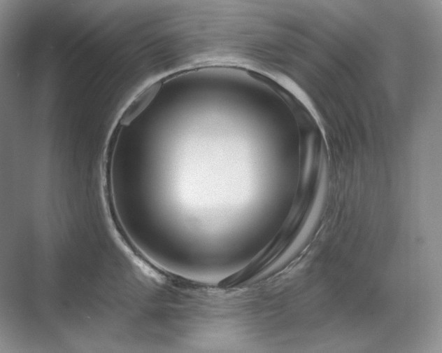 X0000071821005200606301248