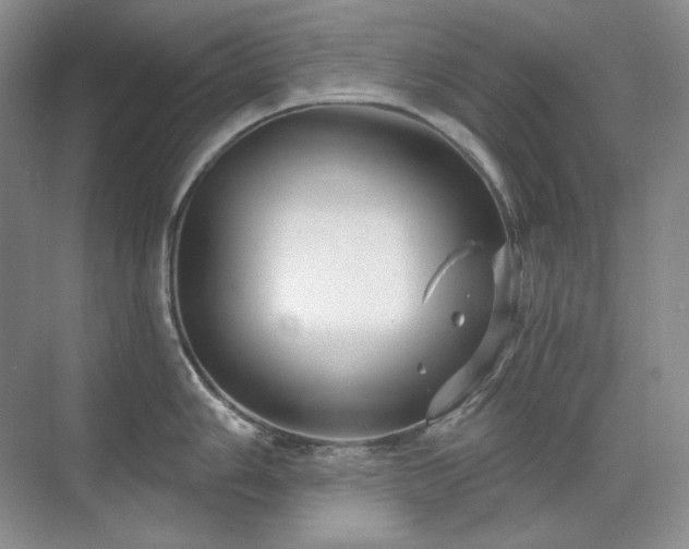 X0000071821006200606301248