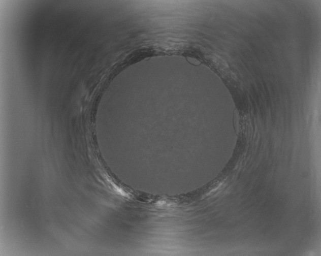 X0000071821009200606301247
