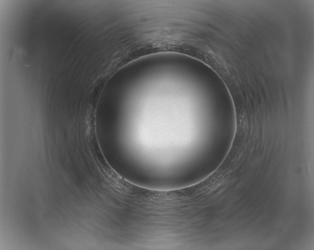 X0000071821012200606301247