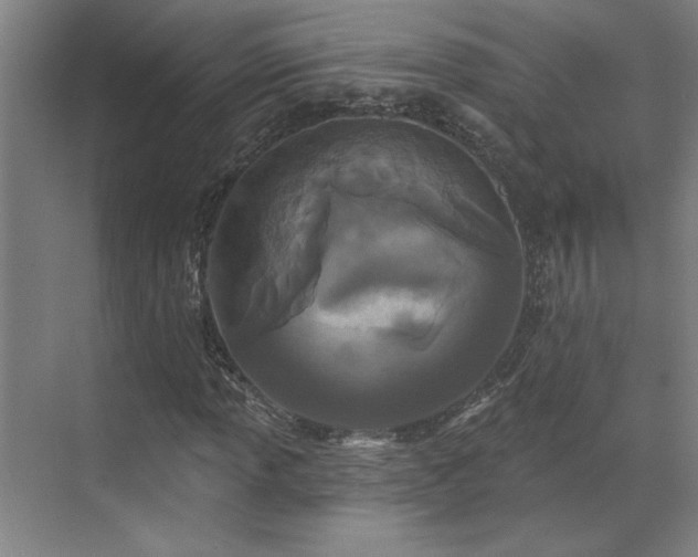 X0000071821013200606301247