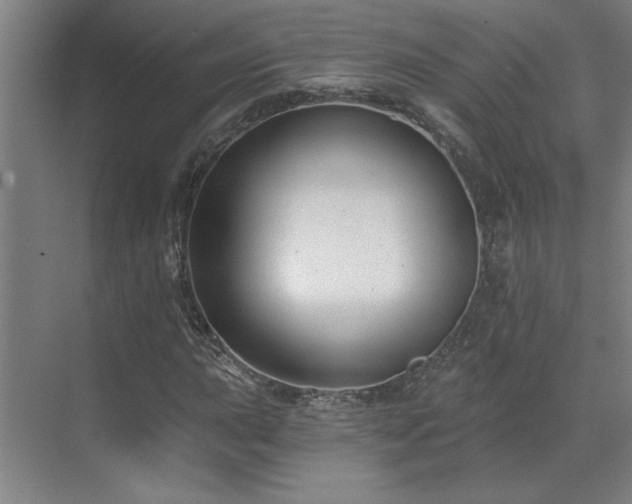 X0000071821015200606301247