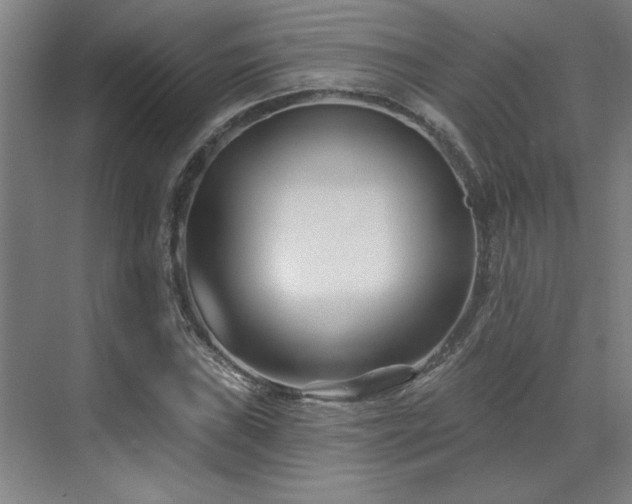 X0000071821019200606301247