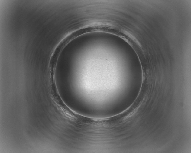 X0000071821021200606301247
