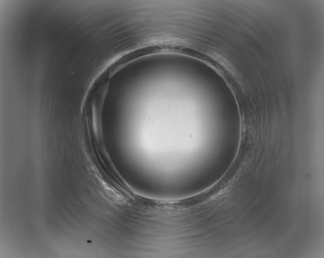 X0000071821022200606301247
