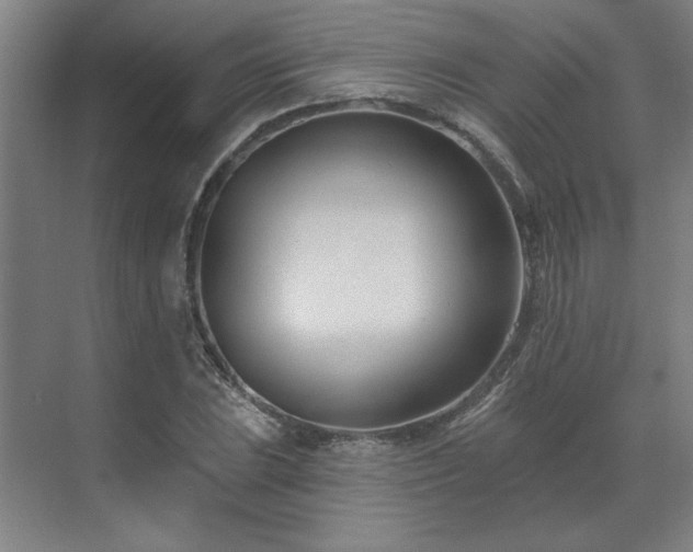 X0000071821023200606301247