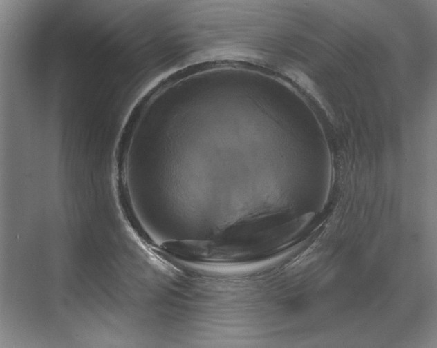 X0000071821024200606301247