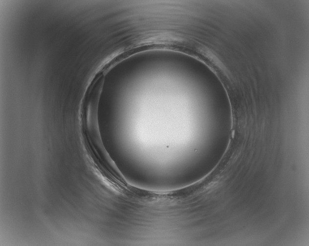 X0000071821026200606301247