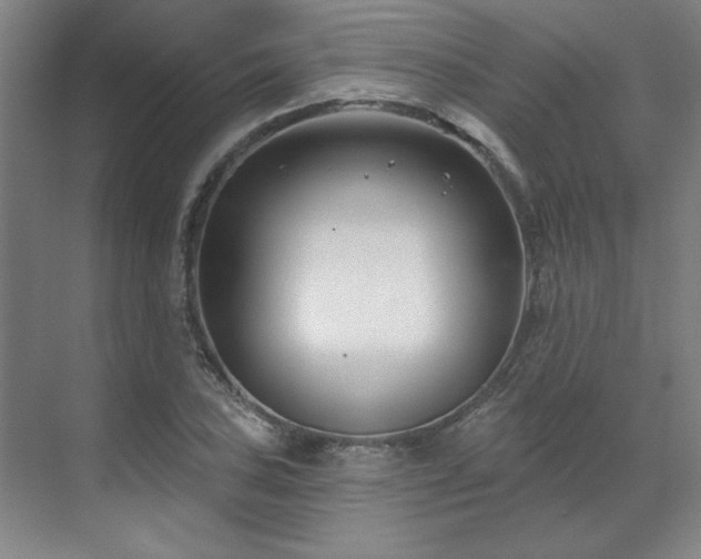 X0000071821027200606301247