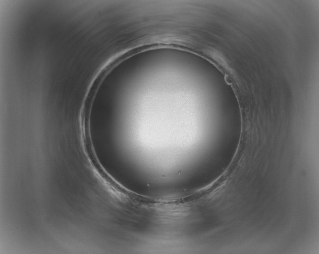 X0000071821032200606301247