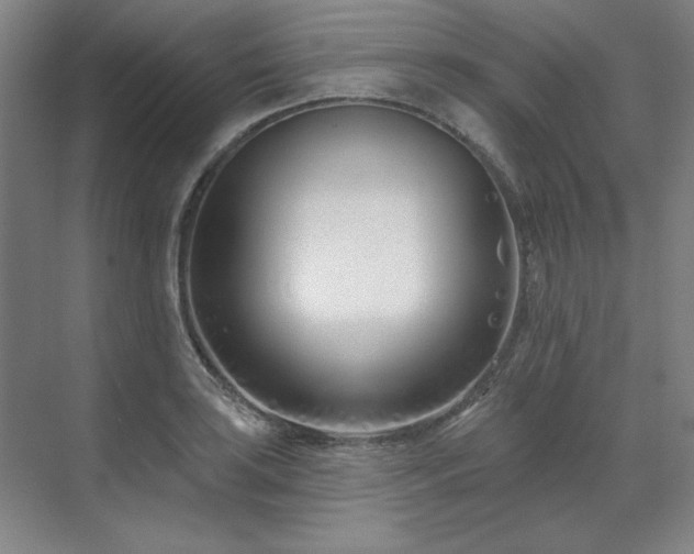 X0000071821035200606301247