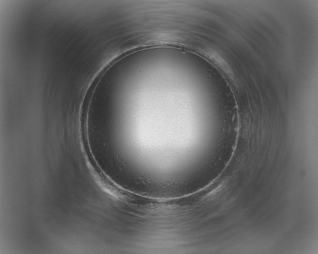 X0000071821039200606301247