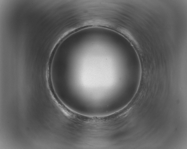 X0000071821040200606301247
