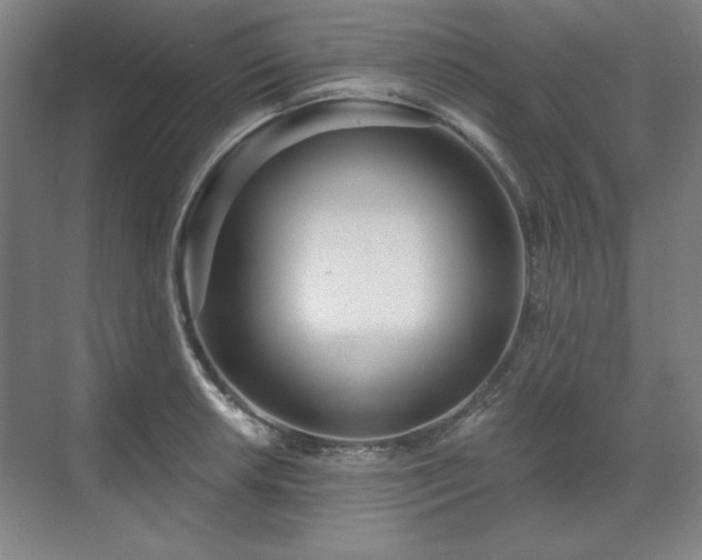 X0000071821042200606301247
