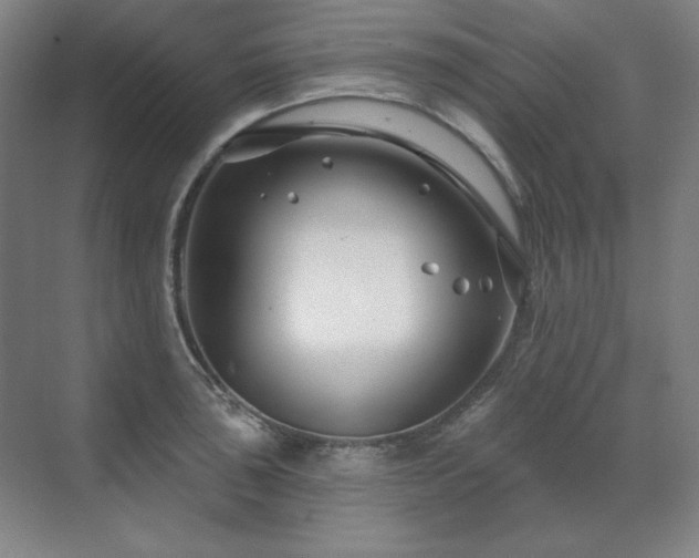 X0000071821043200606301247