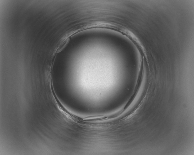 X0000071821049200606301248