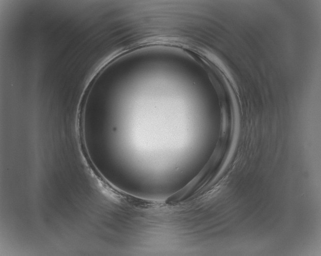 X0000071821050200606301248