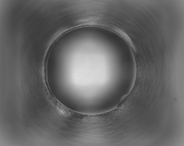 X0000071821051200606301248