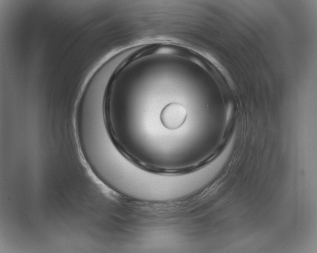 X0000071821054200606301248