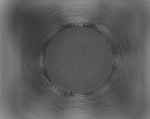 X0000071821060200606301247