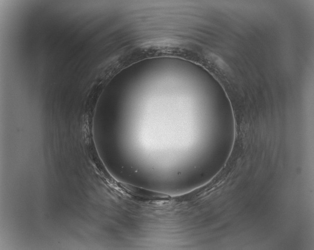 X0000071821062200606301247