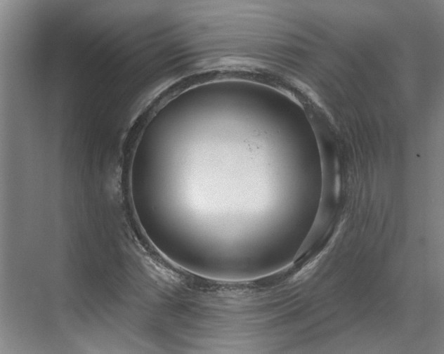 X0000071821066200606301247