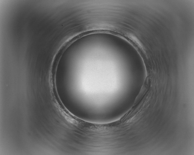 X0000071821072200606301247