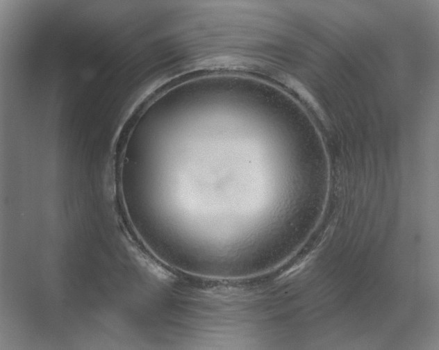 X0000071821075200606301247
