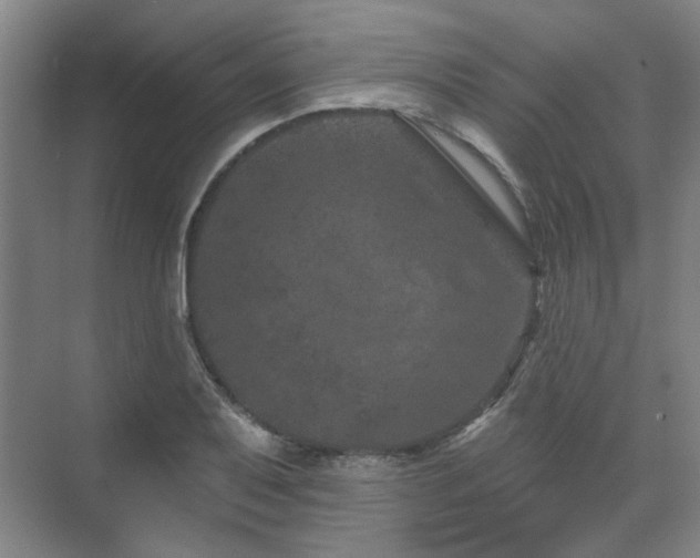 X0000071821079200606301247