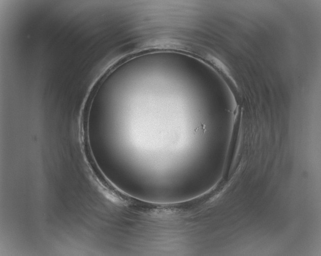 X0000071821082200606301246