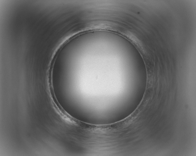 X0000071821086200606301246