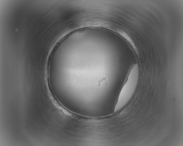 X0000071821088200606301246
