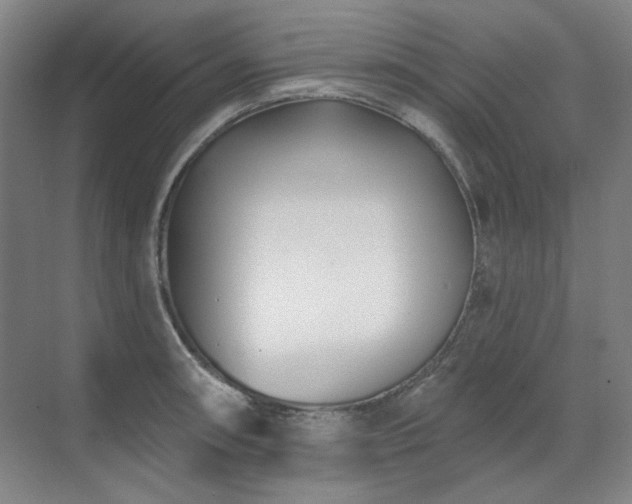 X0000071821090200606301246