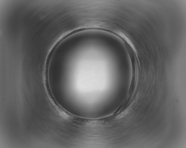 X0000071821093200606301246