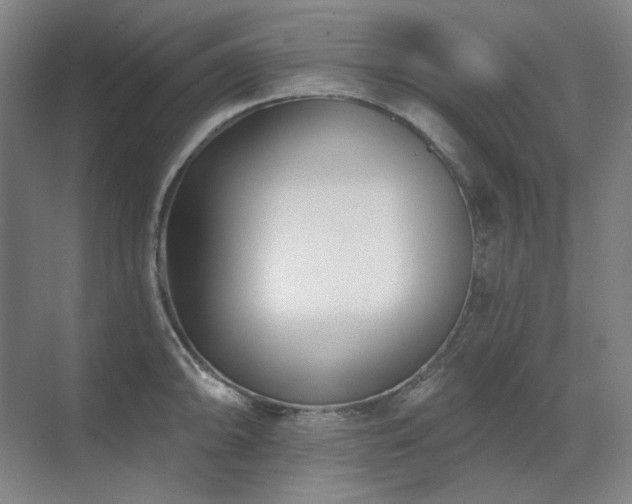 X0000071821094200606301246