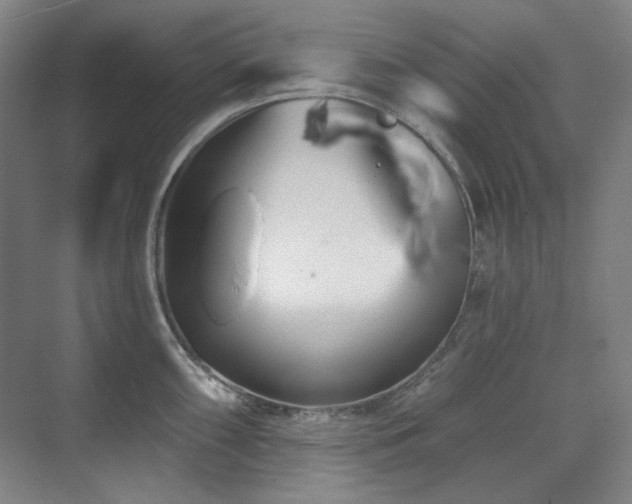 X0000071821098200606301246