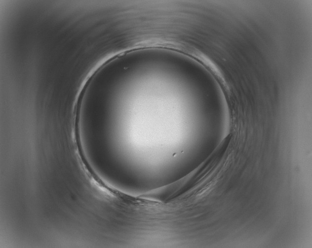 X0000071821102200606301246
