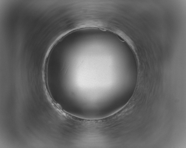 X0000071821104200606301246