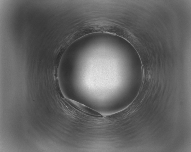 X0000071821108200606301245