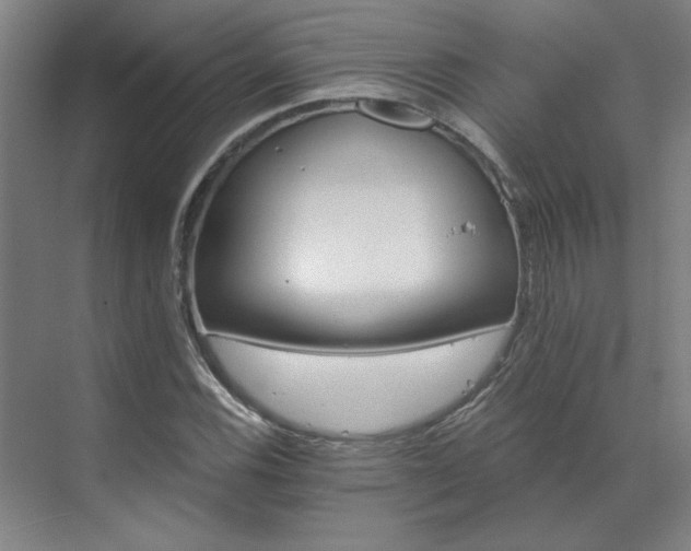 X0000071821116200606301245