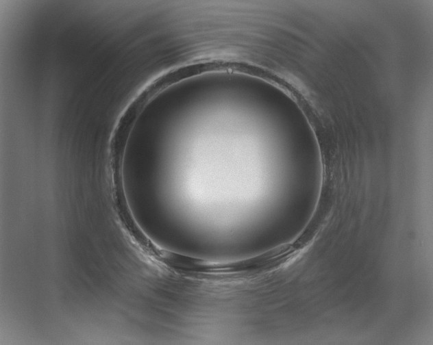 X0000071821118200606301246