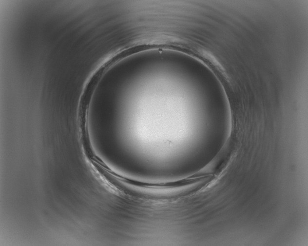 X0000071821122200606301246