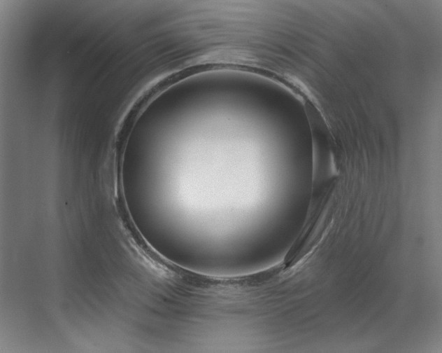 X0000071821123200606301246