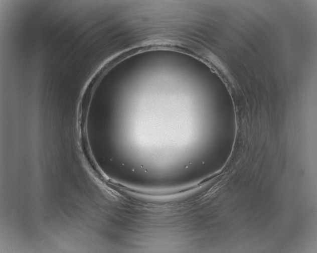 X0000071821124200606301246