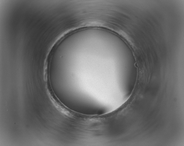 X0000071821126200606301246